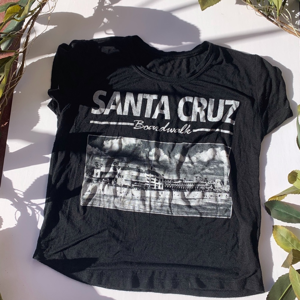 Santa Cruz crop top